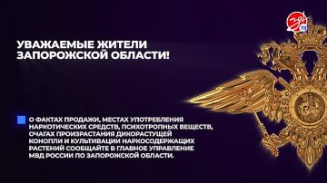 Ваши действия могут спасти жизни: как сообщить о наркопреступлениях в Запорожской области