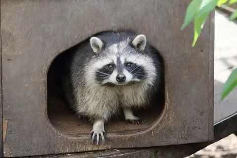 ������ ����, ������! �������� ��� ��� � ��������� ����������!