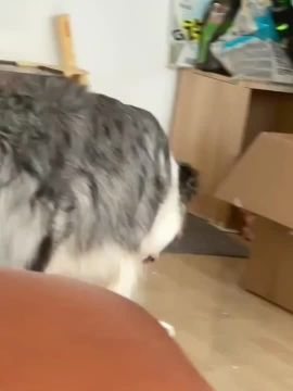 Вот и второй выходной. Помни, если тебе кажется что за тобой следят, это не означает что за тобой не следят