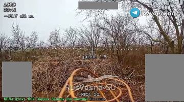 Армия России уничтожает врага, наступая к запорожскому Орехову