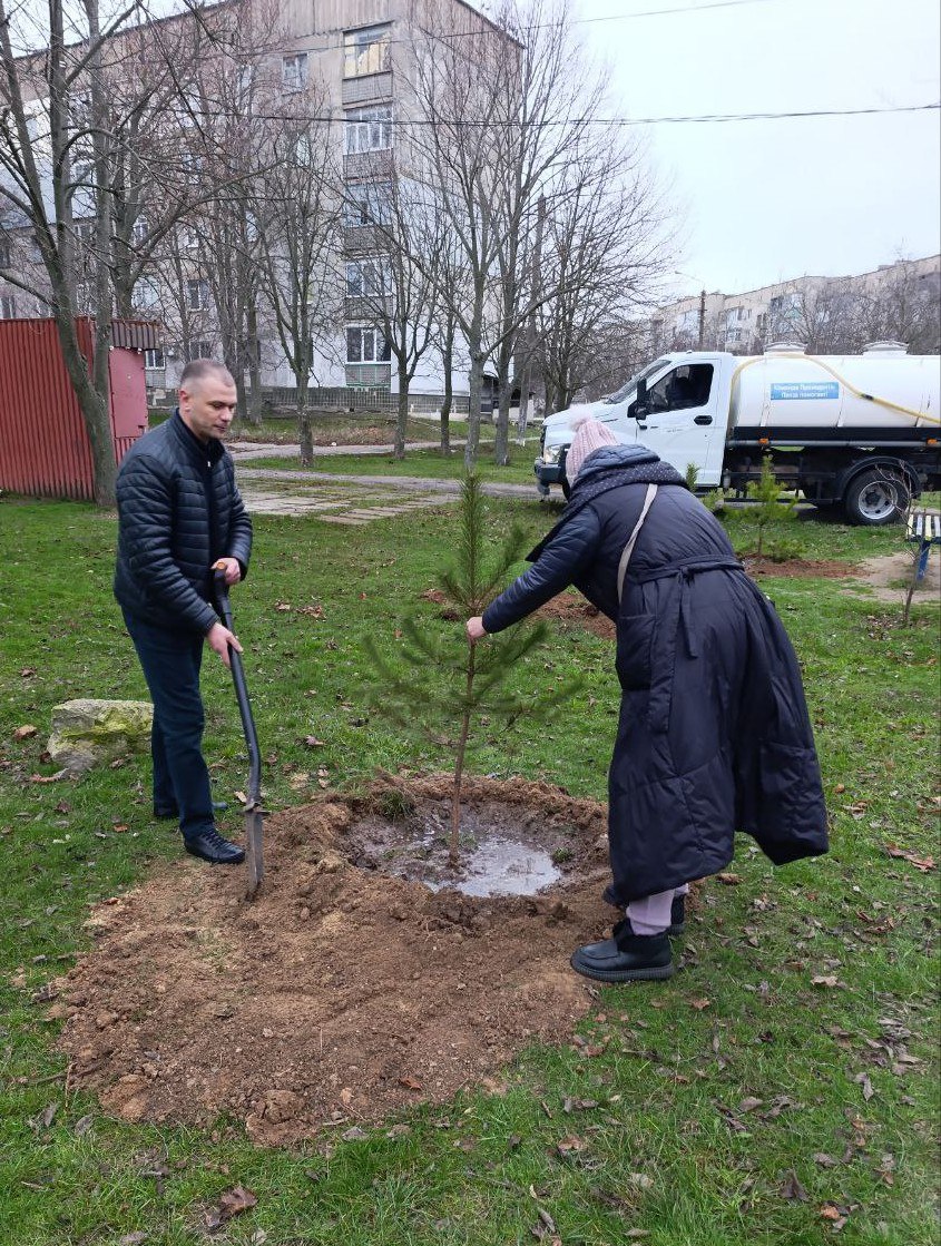 В Токмаке в рамках акции «Сад памяти» высажены ели, сосны и березы