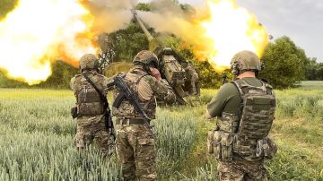 ВС РФ освободили Новоданиловку в Запорожской области и Черновое в ДНР