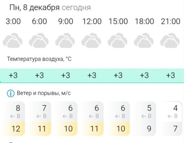 ПРОГНОЗ ПОГОДЫ. В понедельник, 8 декабря в Энергодаре пасмурно