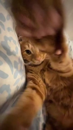 Новая неделя началась. Нежимся в кроватке, но не забываем что нужно на работу