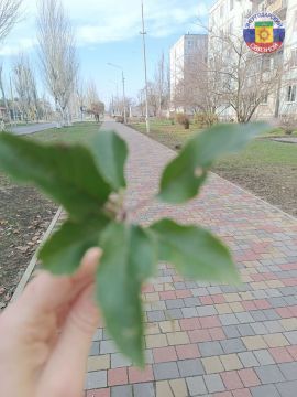 Желаем вам хорошего, легкого, плодотворного понедельника!