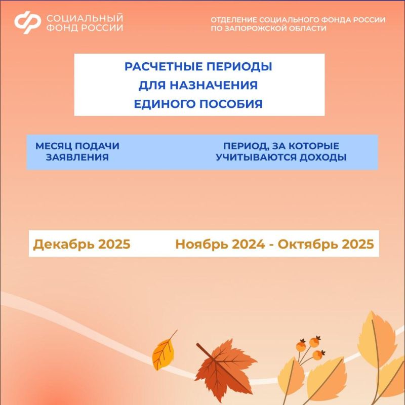 ��������� ������ ������� ����� ��� ���������� ������� ������� � ������� 2025 ����