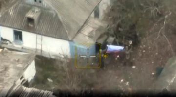 Российские силы освободили Новоданиловку в Ореховском районе