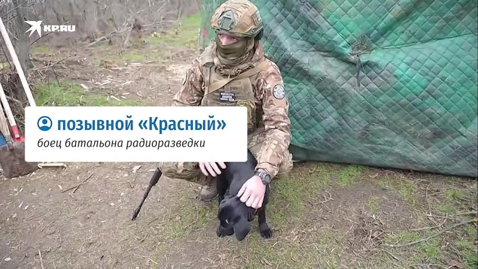 ����� � ����������� ����� � ���� ��� ����������: ���������� ����� �������� ������ ������������� �������