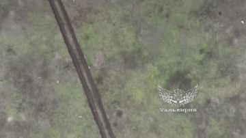  -  "" 74              ,   ,      ...