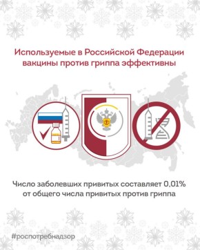 Роспотребнадзор: используемые в Российской Федерации вакцины против гриппа эффективны