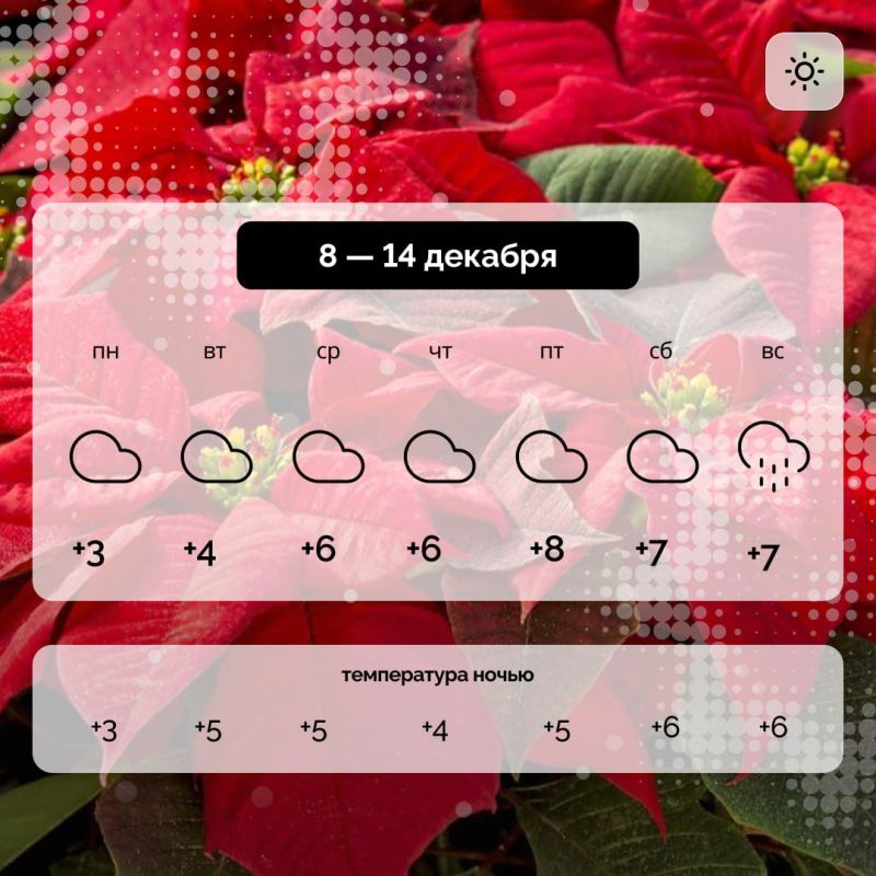������ � ����������� ������� �� 8 � 14 �������
