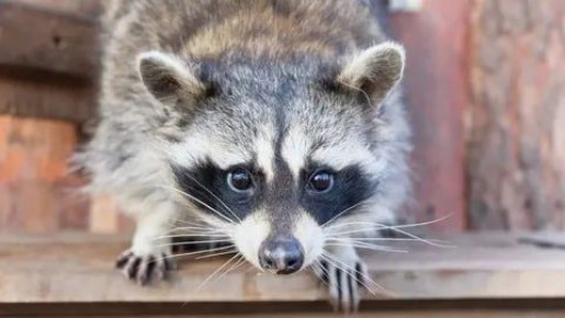 Доброе утро, друзья! Хорошего вам дня и отличного настроения!