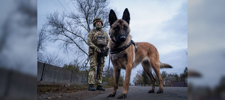 ������������ �� ����� ������ ����� 50 �� ���������� � ����������� � ���������� �������� �� �����