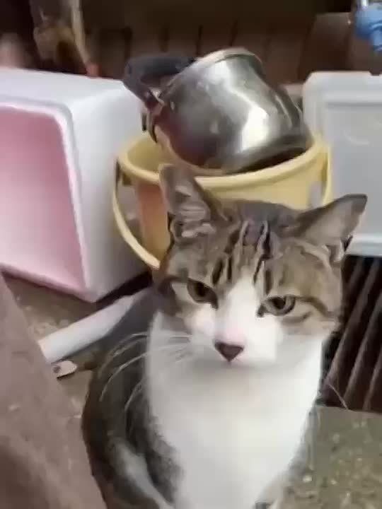 ��� � ����� ������� ����. ������ ���� ���, ����� ���� ����� �� ������, � ��� � ���