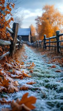 ������ ����!