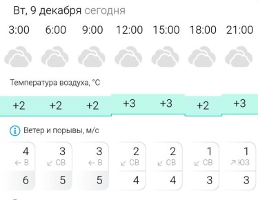 ПРОГНОЗ ПОГОДЫ. Во вторник, 9 декабря в Энергодаре пасмурно