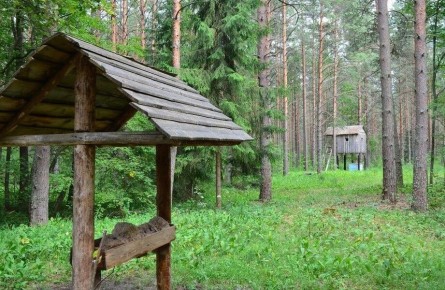 13      &quot;        &quot;