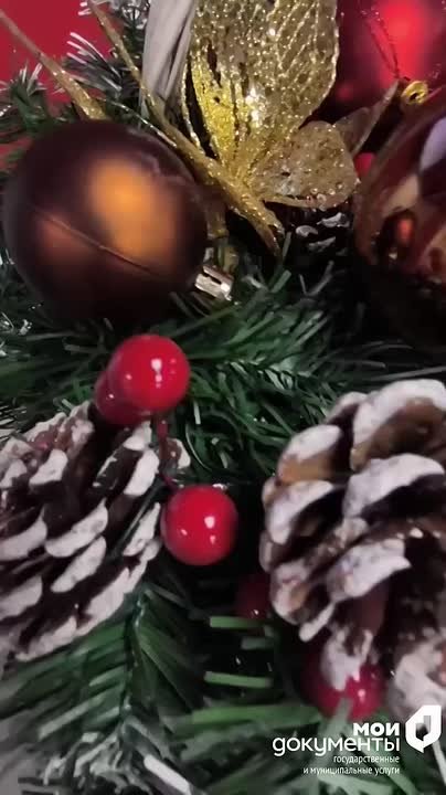 Новый год к нам мчится. МФЦ г. Мелитополь (ул