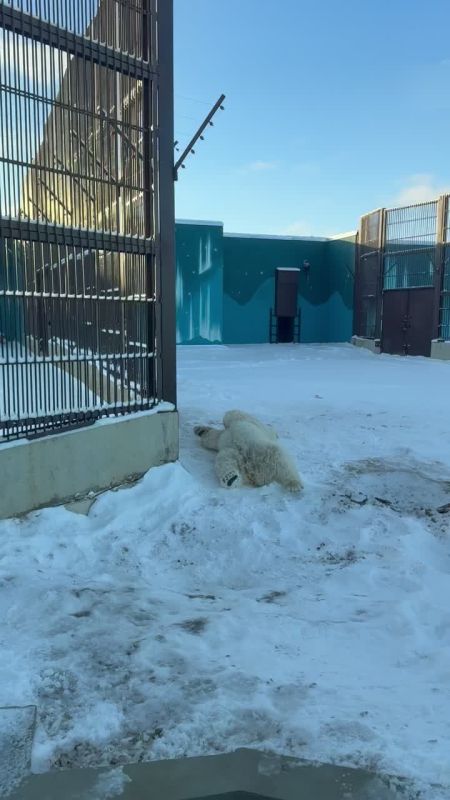 �������� �� ����. �������� ������� �������, ��� ����� ������� ������ ����������� ������� �����