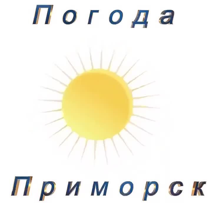 ������ �������� (���������� �����), 10.12.2025