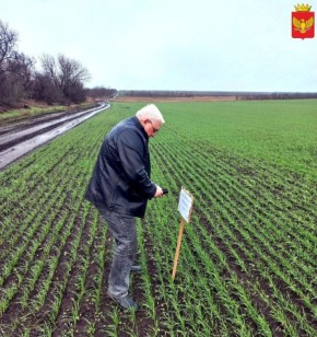 10                       ...