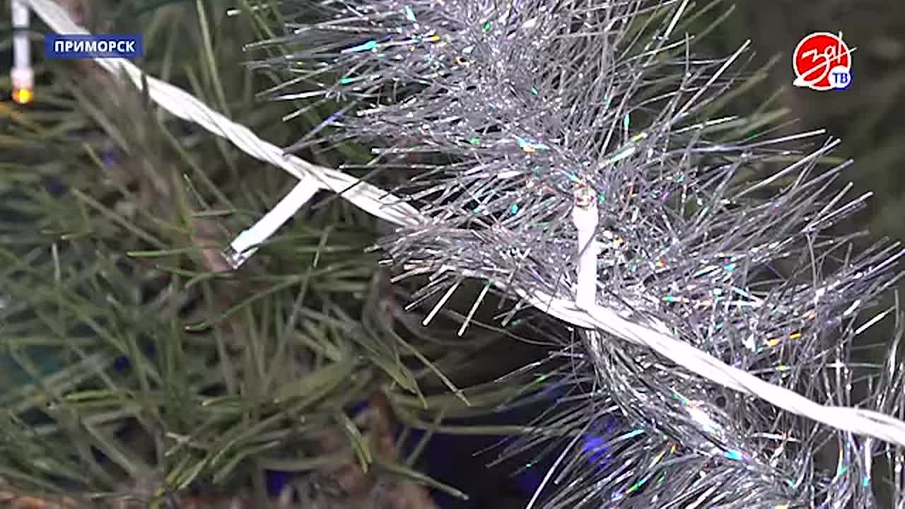 Артисты Мурманского областного Дома культуры и народного творчества имени Сергея Кирова поздравили детей Приморска с наступающим Новым годом