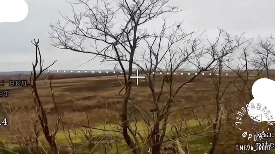 ������� �� ���� ������ �����