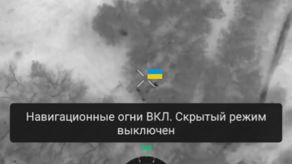 ������ �����: �������������� ����������� ����� ������� ���������� ����������� ������������ ����������� ������ ���������� � ����������� �������