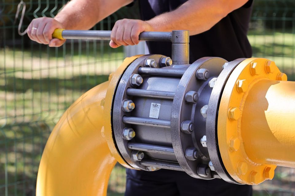 ������ ������: � ������������ ������ ����� ������ � ����� � ������������ ���� ������������� � ����� ��������, ������ � �����������