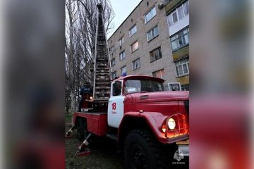 Спасатели спилили дерево в Токмаке, угрожавшее детской площадке