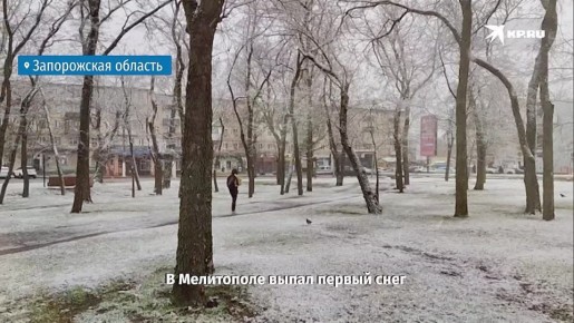 Заснеженный Мелитополь на видео от нашего корреспондента