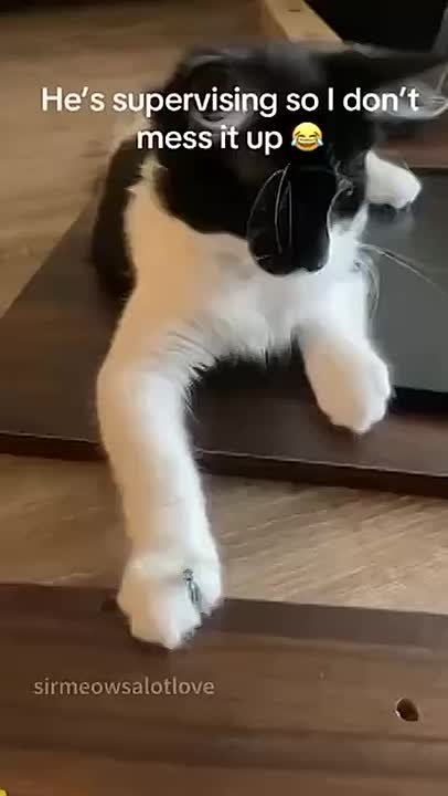 В любом деле самое главное - толковый помощник))