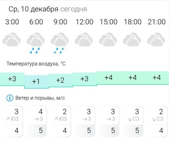 ПРОГНОЗ ПОГОДЫ. В среду, 10 декабря в Энергодаре пасмурно, возможен дождь