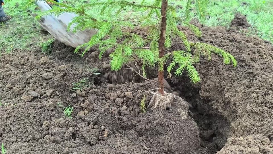 ��������� ����������: ������� ������� � ����� ������� ������������� ����� ���� ������