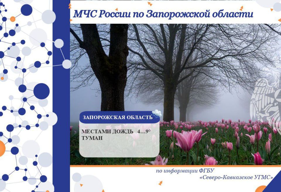 � 11 �� 12 ������� �� ���������� ������� ���������: