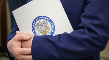 В Запорожской области с 2026 года станет доступно оформление самозанятости