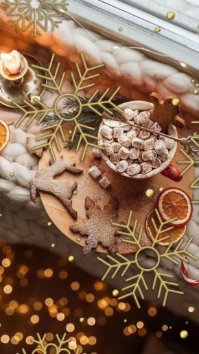 11  2025 .      11  2025 