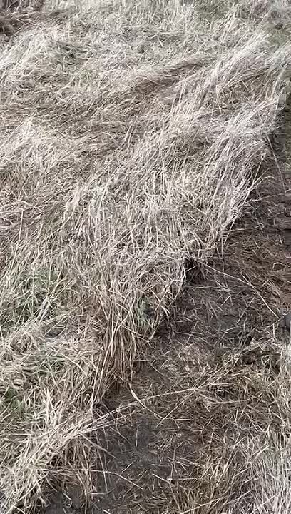 ��� ������: #���������_�������. 42 ���, 291 ����