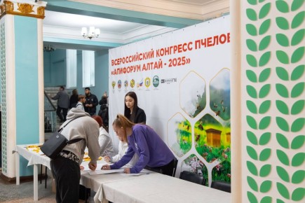    .        2025  500   32          