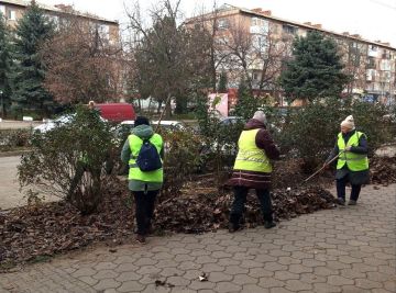 В Токмаке коммунальщики приступили к предновогодней уборке города