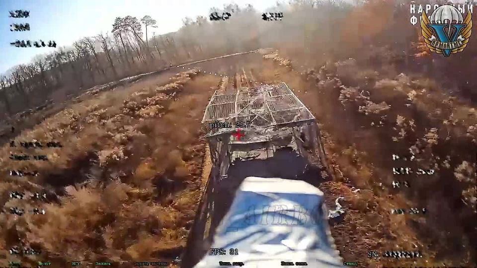 �� ������� ����������� ����������� "��������" ���������� ������������ �113