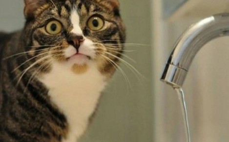  :  &quot;  &quot;   &quot; &quot; :