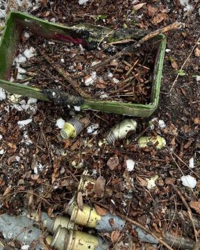 Сотрудниками полиции Запорожской области был выявлен крупный схрон с боеприпасами