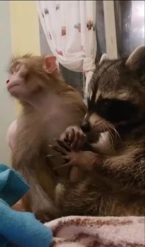 Доброе утро, друзья! Хорошего вам дня и отличного настроения!