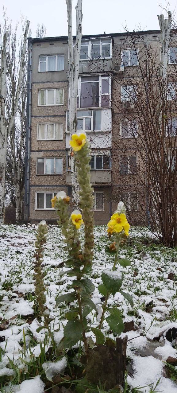 Желаем самого доброго, бодрого, счастливого, красивого, нежного, сладкого и прекрасного утра