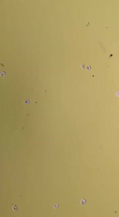 Противник нанес удар по машине скорой помощи