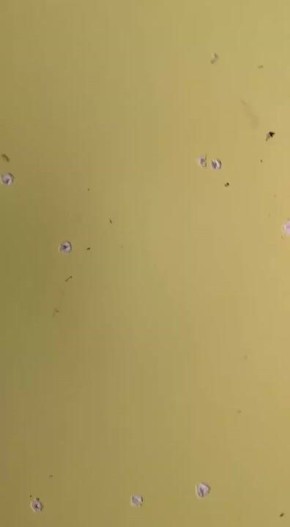 Противник нанес удар по машине скорой помощи