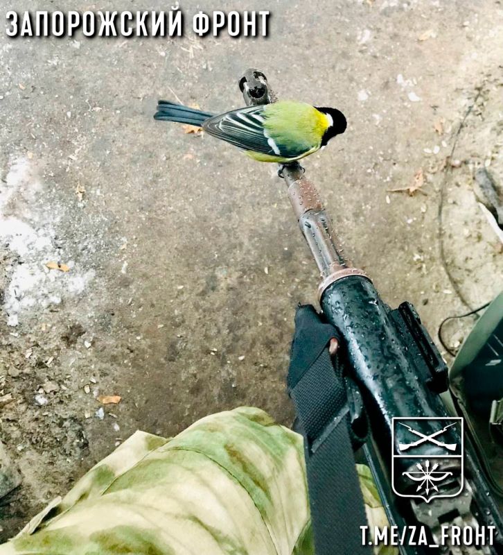 ���� ������� ���� � ������������ �����������