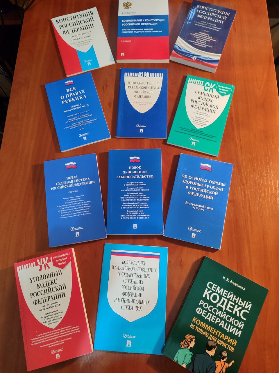 В селе Плодородном для молодёжи провели познавательный час ко Дню Конституции