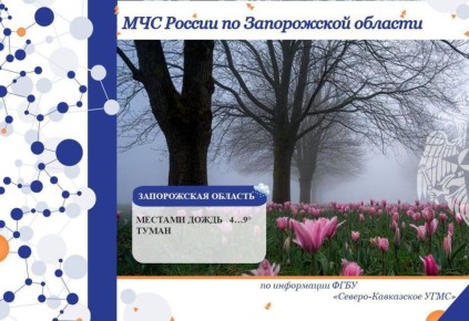 Чрезвычайный прогноз по Запорожской области на 12 декабря